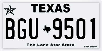 TX license plate BGU9501