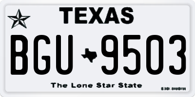TX license plate BGU9503