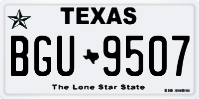 TX license plate BGU9507