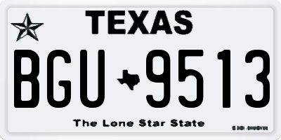 TX license plate BGU9513