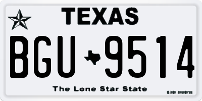 TX license plate BGU9514