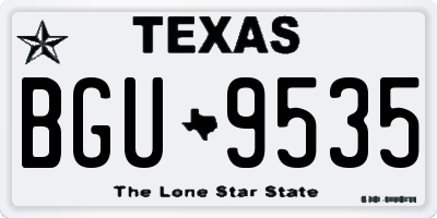 TX license plate BGU9535