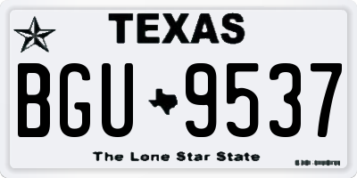 TX license plate BGU9537