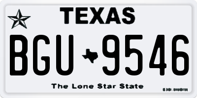 TX license plate BGU9546