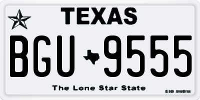 TX license plate BGU9555