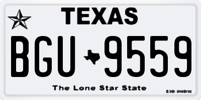 TX license plate BGU9559