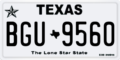 TX license plate BGU9560