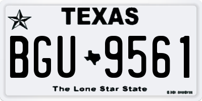 TX license plate BGU9561