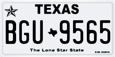 TX license plate BGU9565