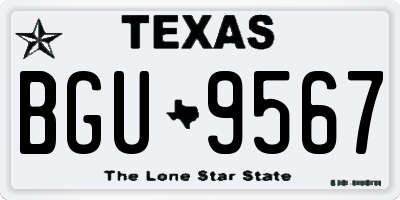 TX license plate BGU9567