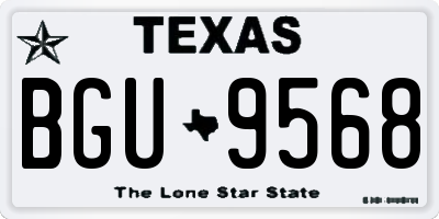 TX license plate BGU9568