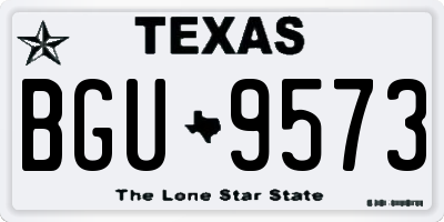 TX license plate BGU9573