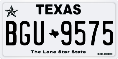 TX license plate BGU9575