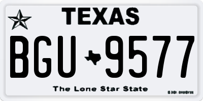 TX license plate BGU9577