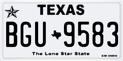 TX license plate BGU9583