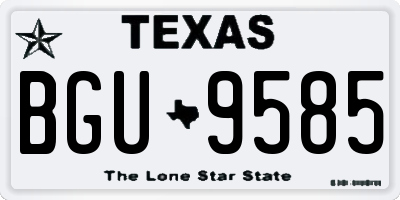 TX license plate BGU9585