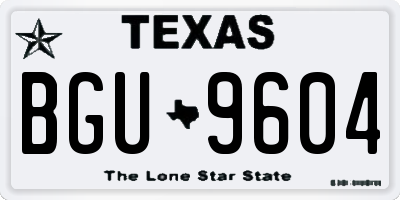 TX license plate BGU9604