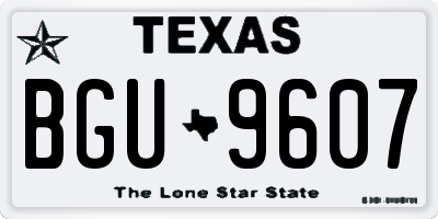 TX license plate BGU9607