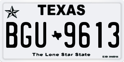 TX license plate BGU9613