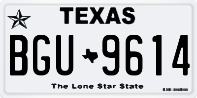 TX license plate BGU9614