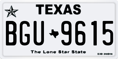 TX license plate BGU9615