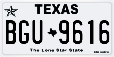 TX license plate BGU9616