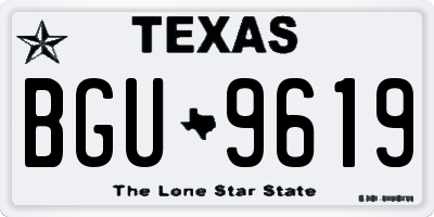 TX license plate BGU9619