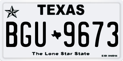 TX license plate BGU9673
