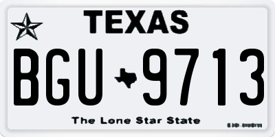 TX license plate BGU9713