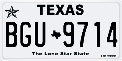 TX license plate BGU9714