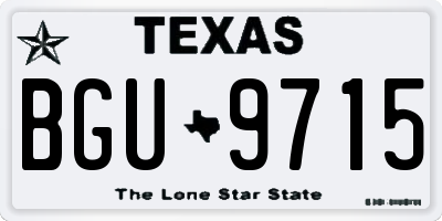TX license plate BGU9715