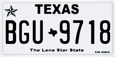 TX license plate BGU9718