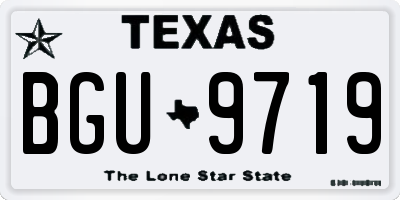 TX license plate BGU9719