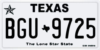 TX license plate BGU9725