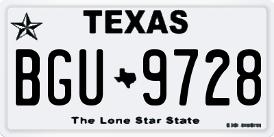 TX license plate BGU9728