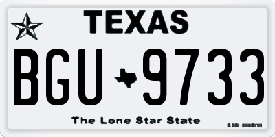 TX license plate BGU9733