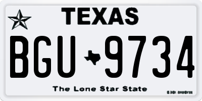 TX license plate BGU9734