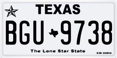 TX license plate BGU9738