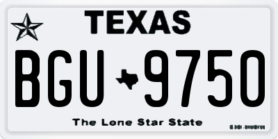 TX license plate BGU9750