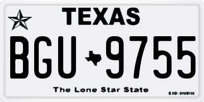 TX license plate BGU9755