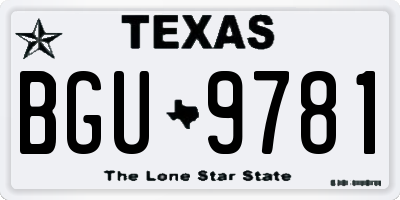TX license plate BGU9781