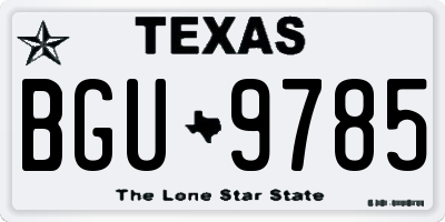 TX license plate BGU9785