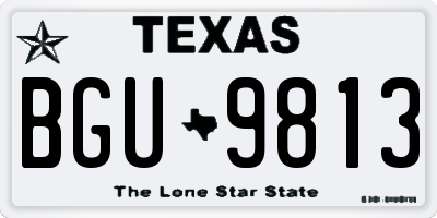 TX license plate BGU9813