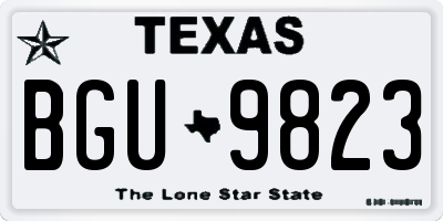 TX license plate BGU9823