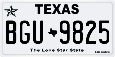 TX license plate BGU9825