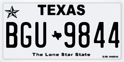 TX license plate BGU9844