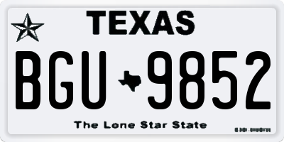 TX license plate BGU9852