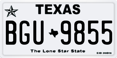 TX license plate BGU9855