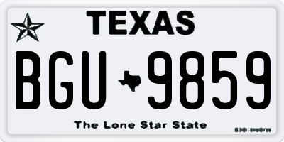 TX license plate BGU9859