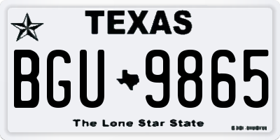 TX license plate BGU9865